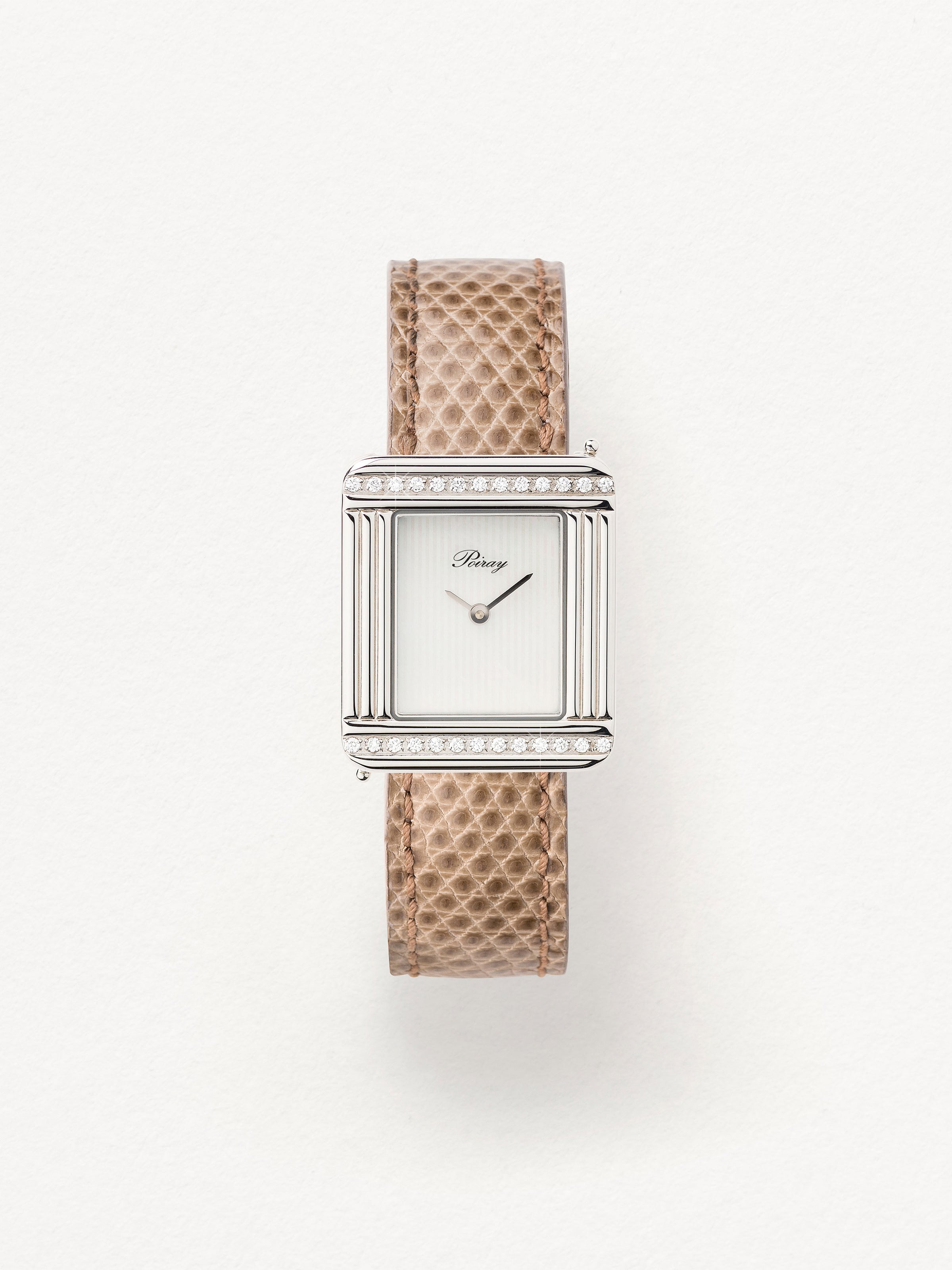 Lézard beige