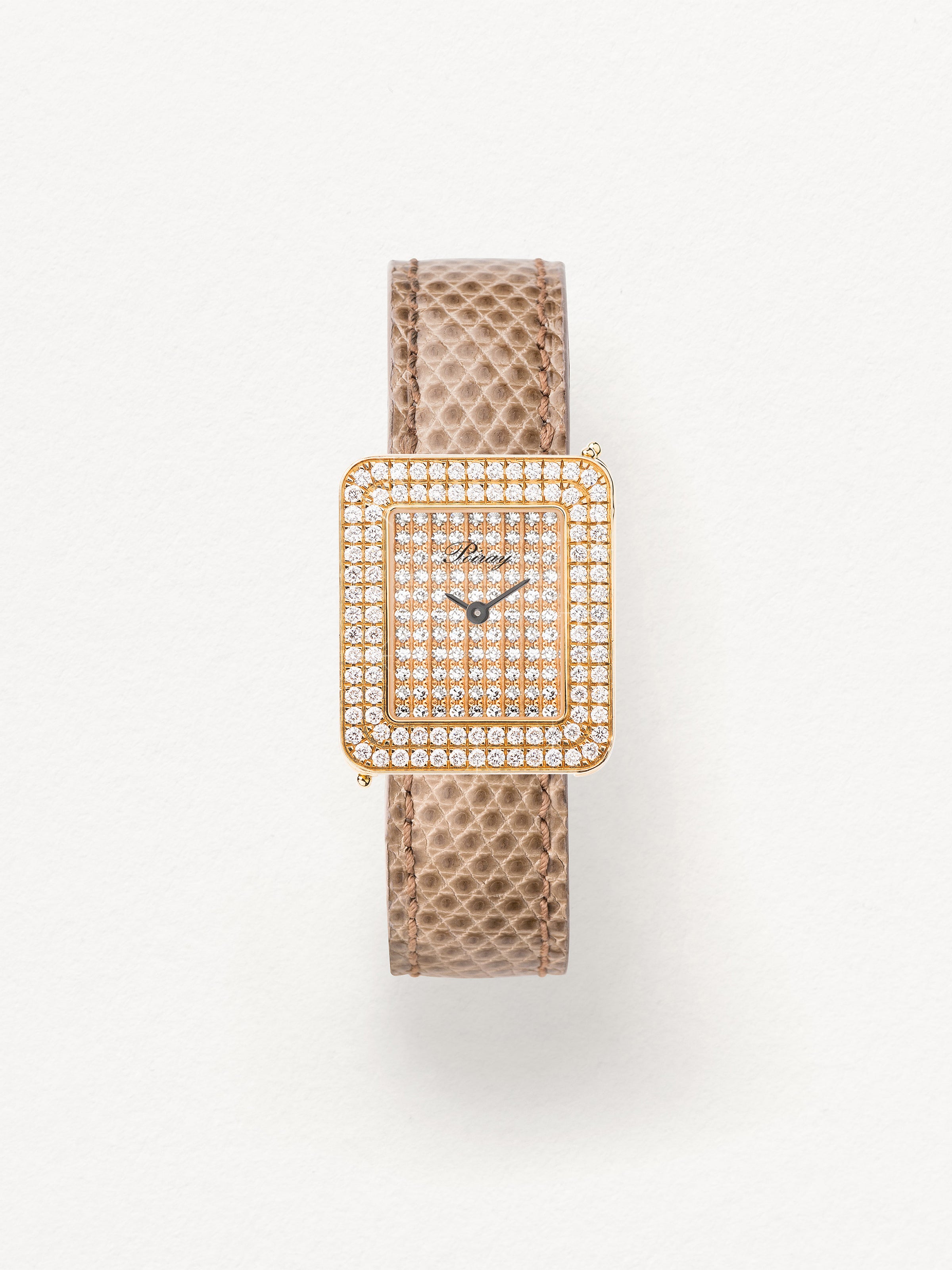 Lézard beige