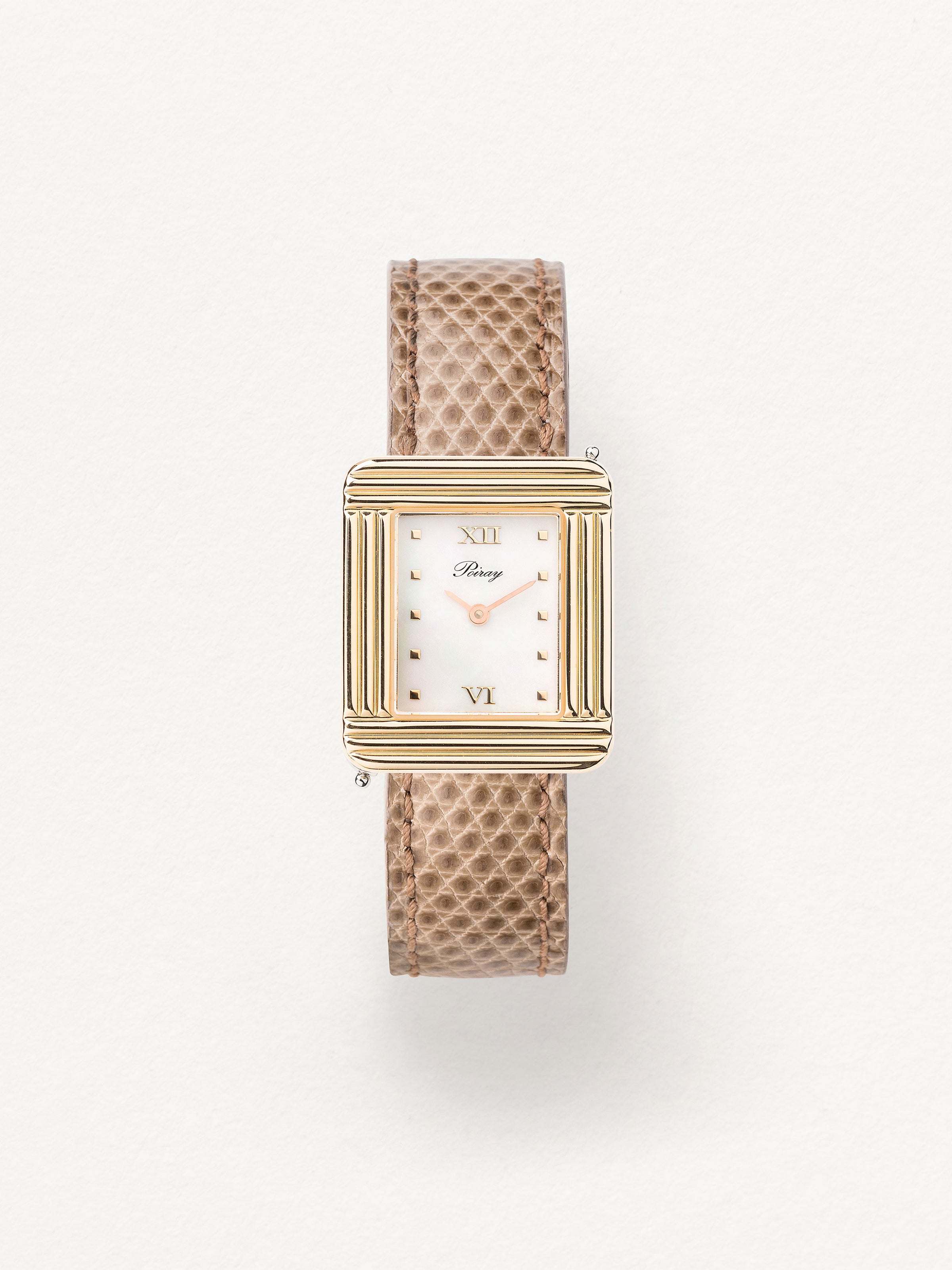 Lézard beige