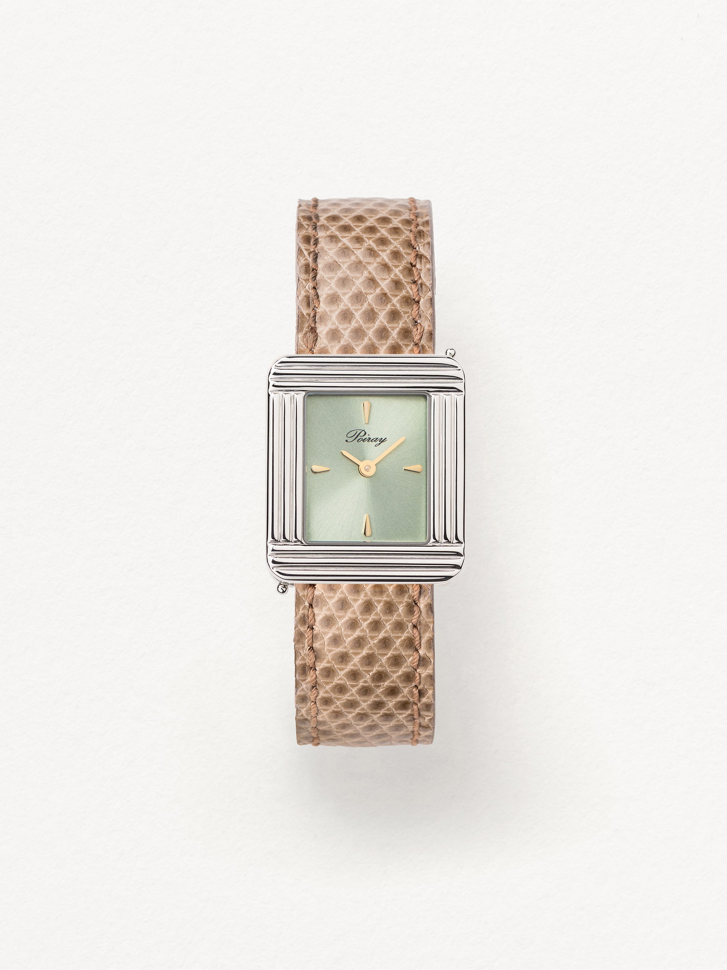 Lézard beige