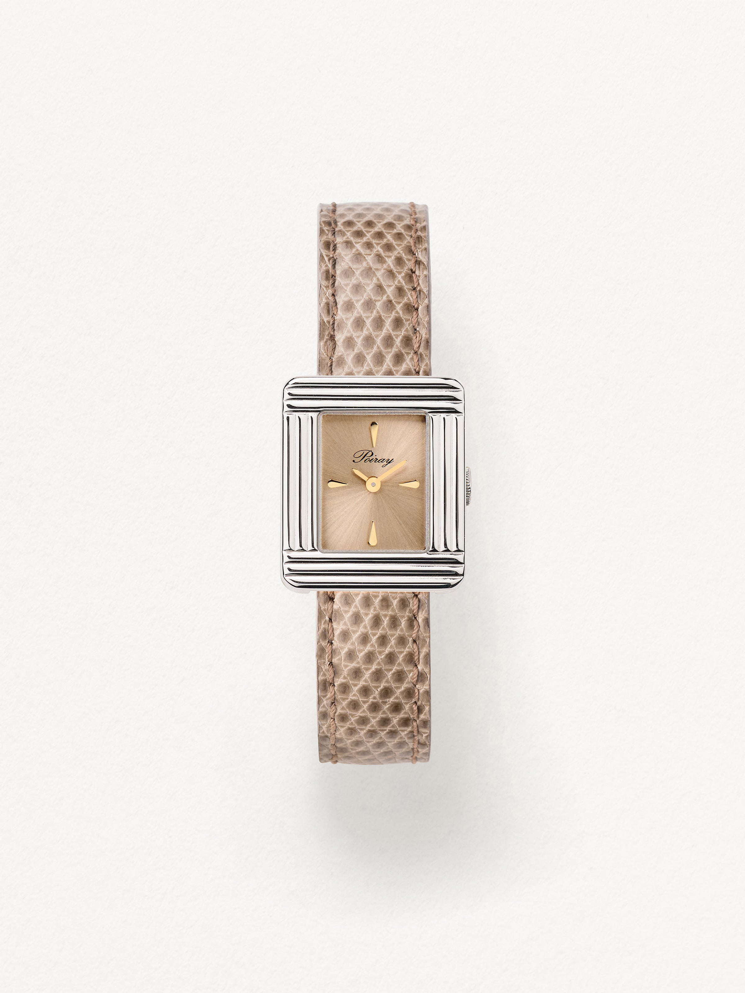Lézard beige
