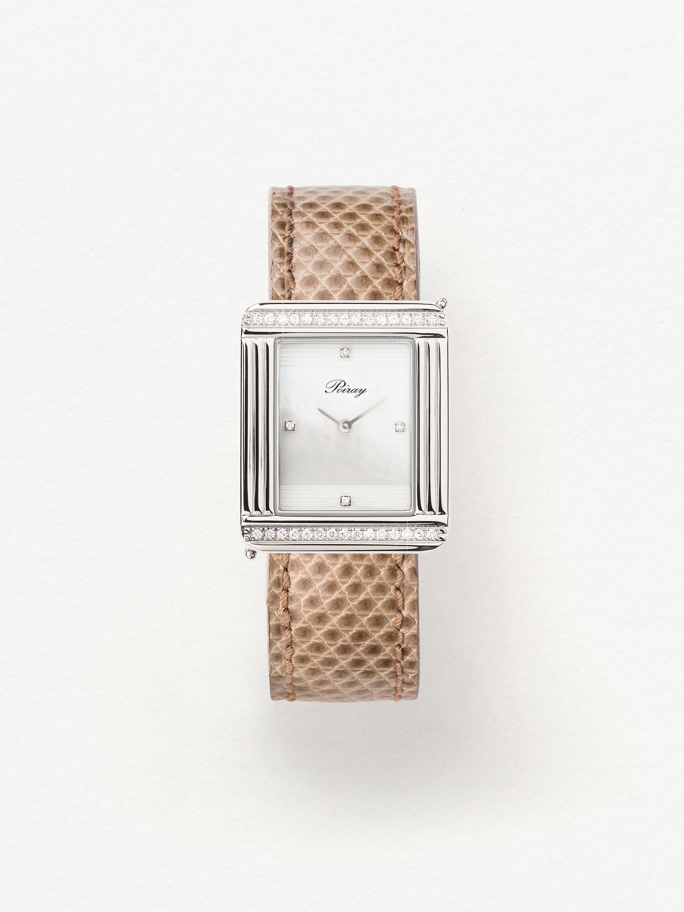 Lézard beige