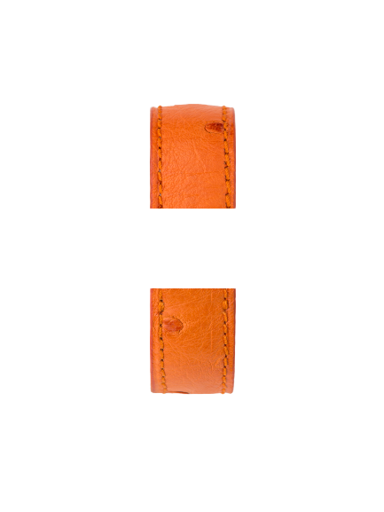 Orange / 17mm / Plaqué or jaune